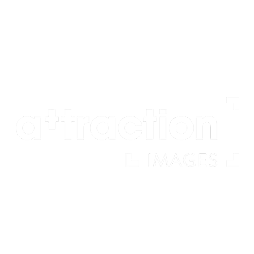 ATTRACTION logo